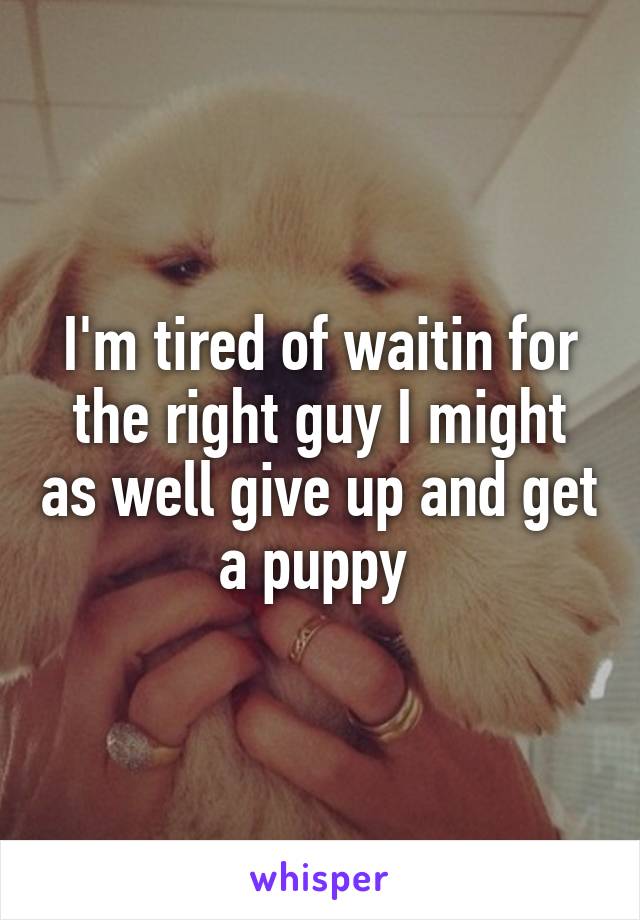 I'm tired of waitin for the right guy I might as well give up and get a puppy 