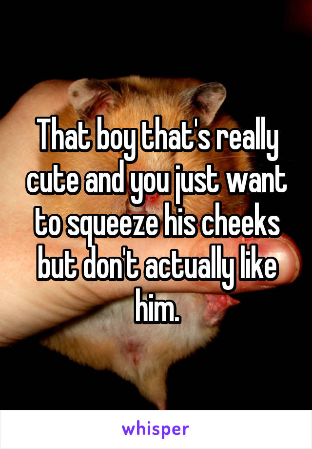 That boy that's really cute and you just want to squeeze his cheeks but don't actually like him.