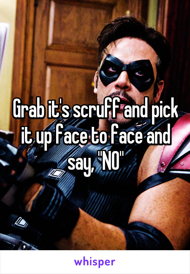 Grab it's scruff and pick it up face to face and say, "NO"