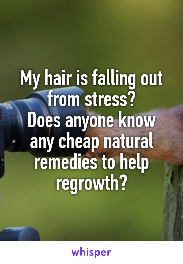 My hair is falling out from stress?
Does anyone know any cheap natural remedies to help regrowth?
