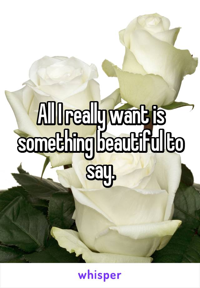 All I really want is something beautiful to say.