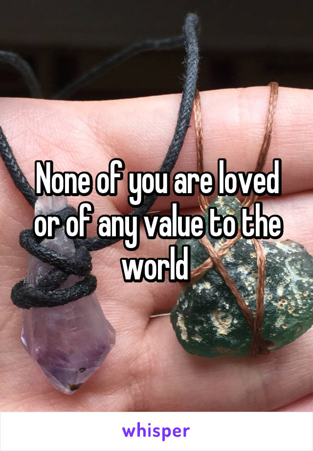 None of you are loved or of any value to the world 