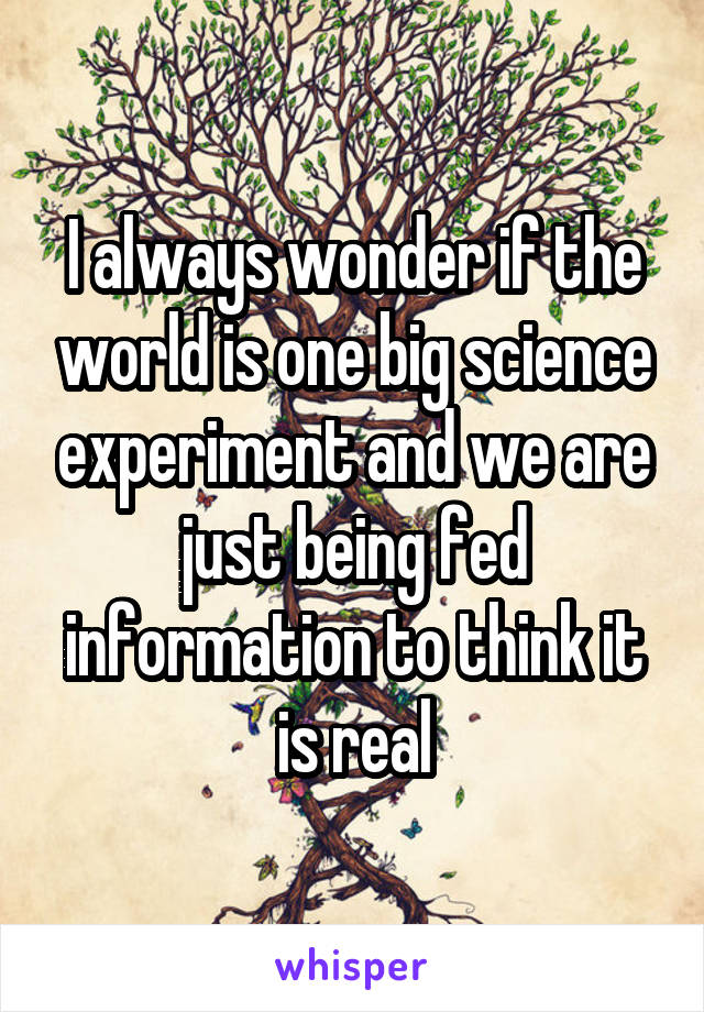 I always wonder if the world is one big science experiment and we are just being fed information to think it is real
