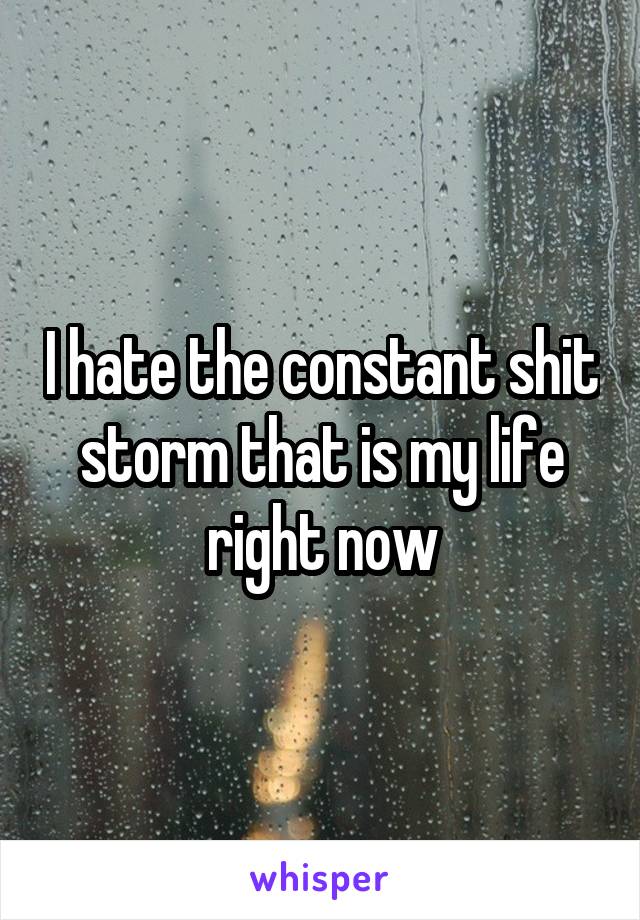 I hate the constant shit storm that is my life right now