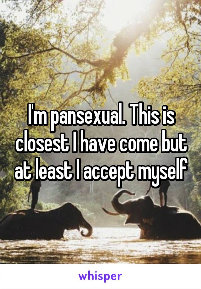 I'm pansexual. This is closest I have come but at least I accept myself