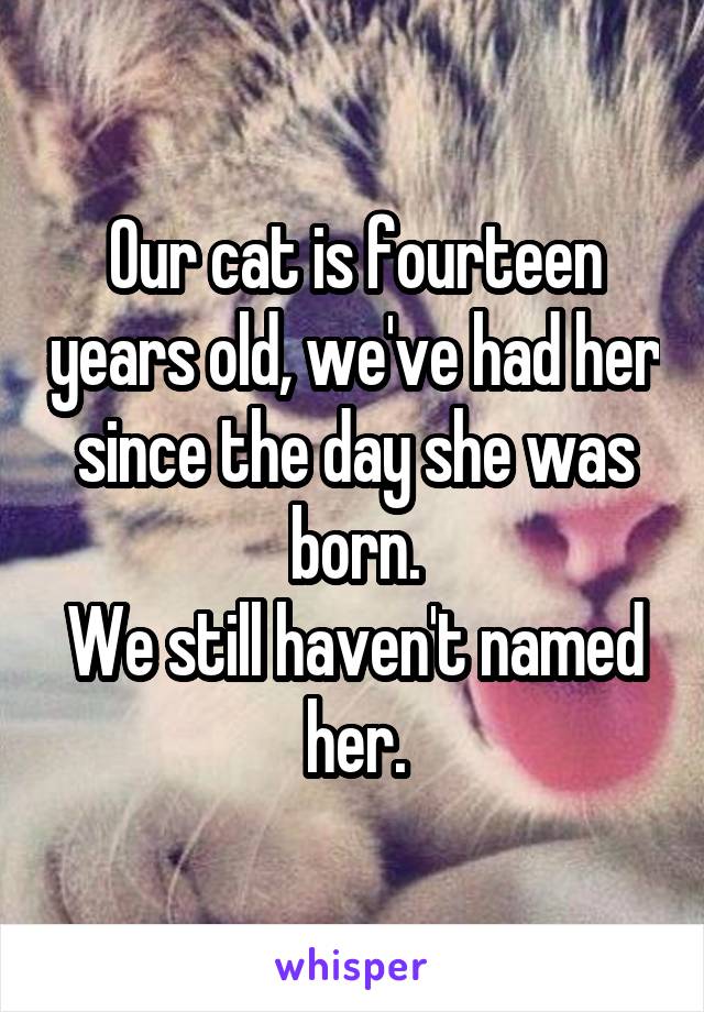 Our cat is fourteen years old, we've had her since the day she was born.
We still haven't named her.