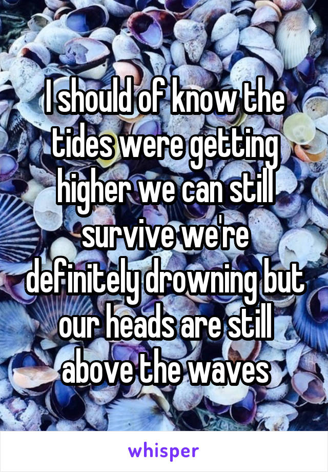 I should of know the tides were getting higher we can still survive we're definitely drowning but our heads are still above the waves