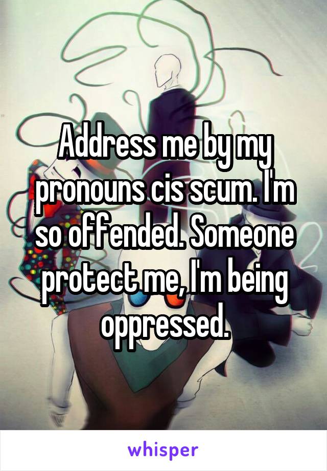 Address me by my pronouns cis scum. I'm so offended. Someone protect me, I'm being oppressed.