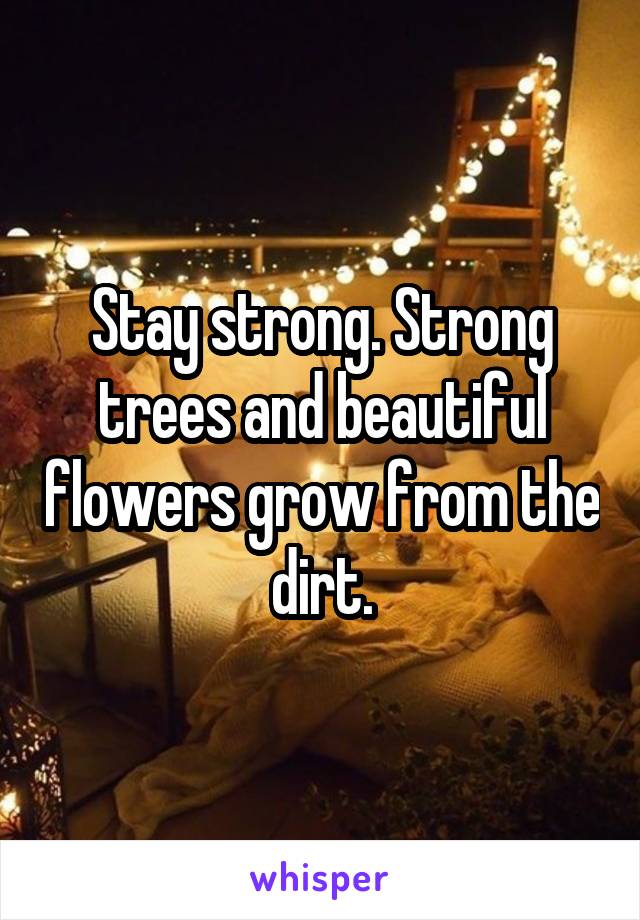 Stay strong. Strong trees and beautiful flowers grow from the dirt.