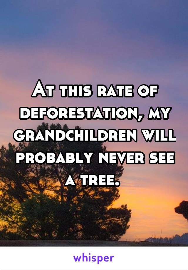 At this rate of deforestation, my grandchildren will probably never see a tree. 