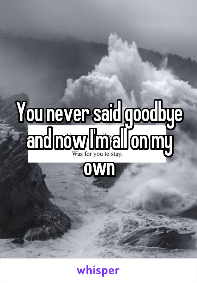 You never said goodbye and now I'm all on my own