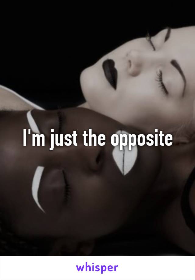 I'm just the opposite