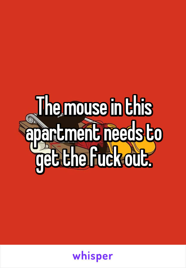 The mouse in this apartment needs to get the fuck out.