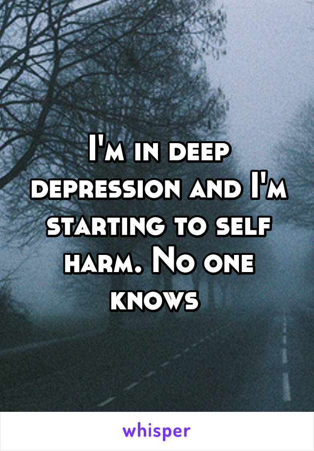 I'm in deep depression and I'm starting to self harm. No one knows 