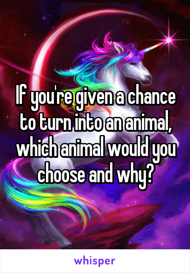If you're given a chance to turn into an animal, which animal would you choose and why?