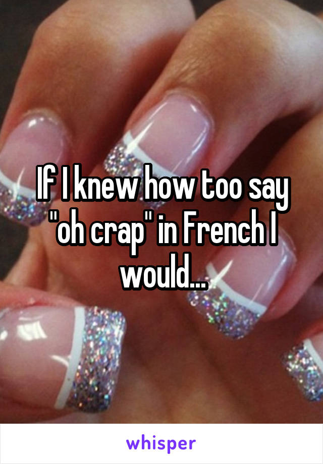 If I knew how too say "oh crap" in French I would...