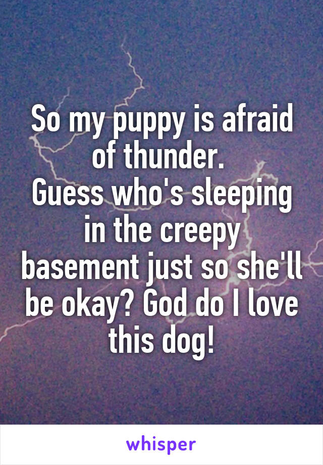 So my puppy is afraid of thunder. 
Guess who's sleeping in the creepy basement just so she'll be okay? God do I love this dog!