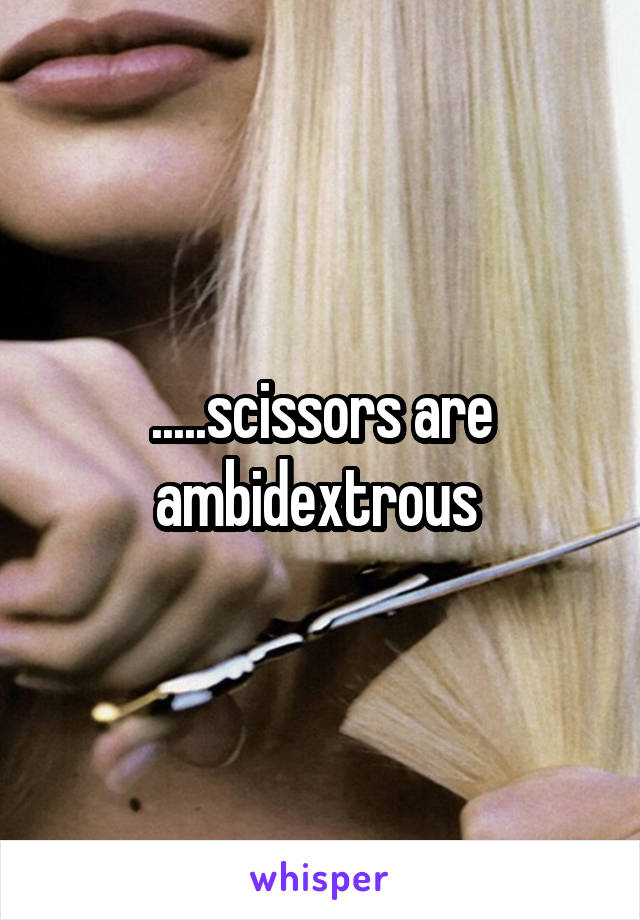 .....scissors are ambidextrous 