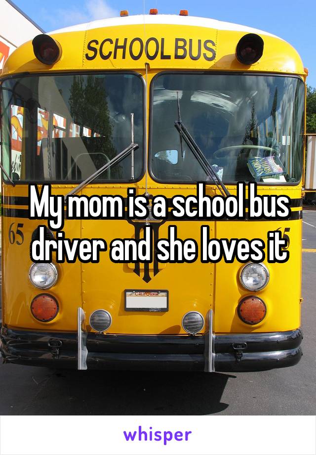 My mom is a school bus driver and she loves it