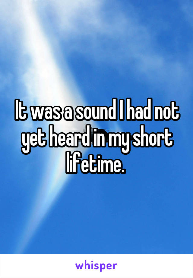 It was a sound I had not yet heard in my short lifetime. 