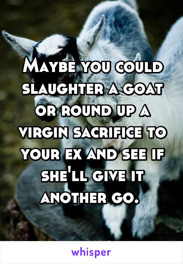 Maybe you could slaughter a goat or round up a virgin sacrifice to your ex and see if she'll give it another go. 