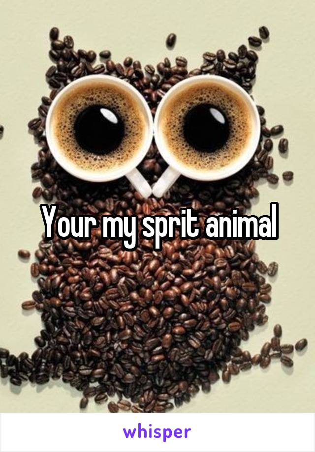 Your my sprit animal