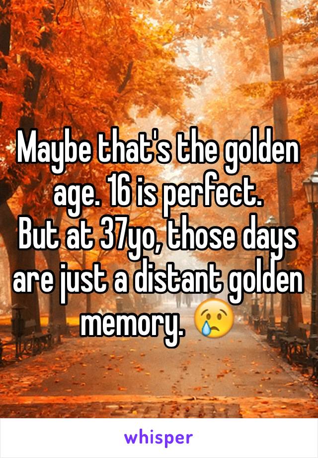 Maybe that's the golden age. 16 is perfect.
But at 37yo, those days are just a distant golden memory. 😢