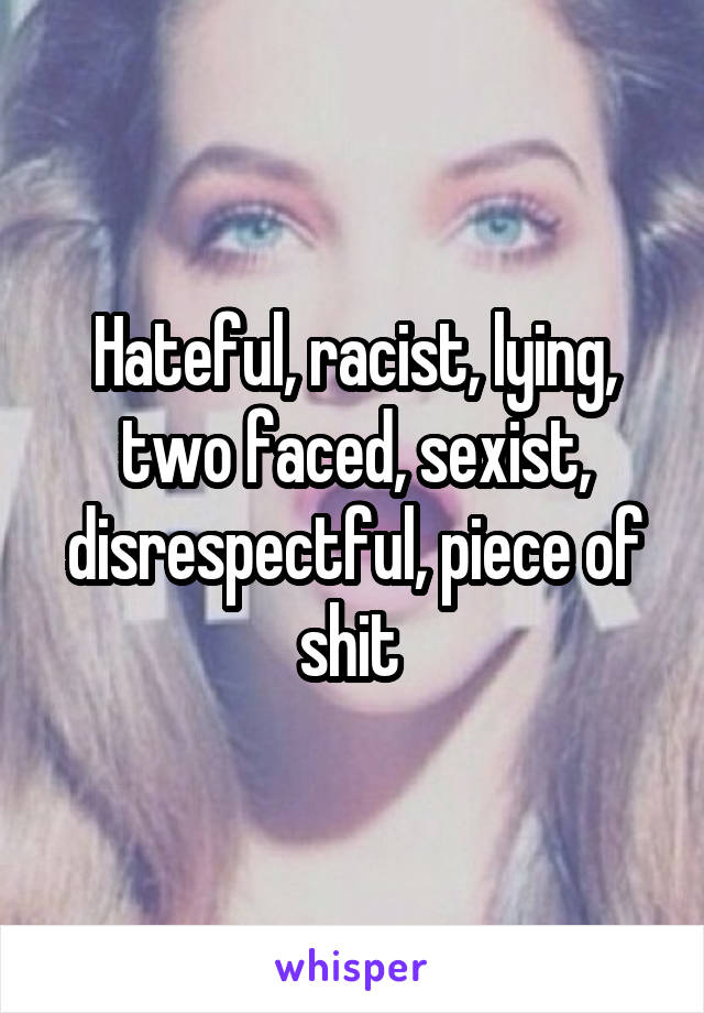 Hateful, racist, lying, two faced, sexist, disrespectful, piece of shit 