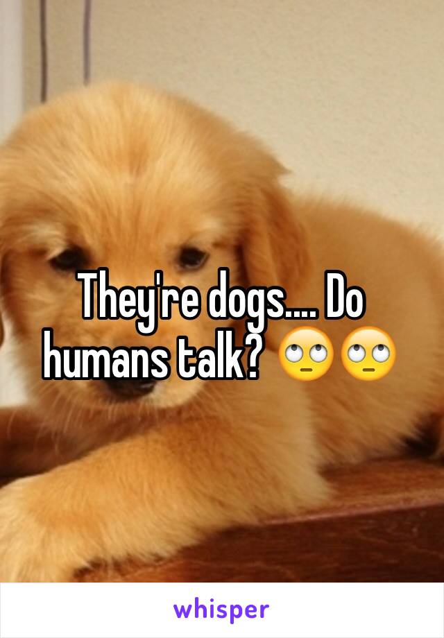 They're dogs.... Do humans talk? 🙄🙄