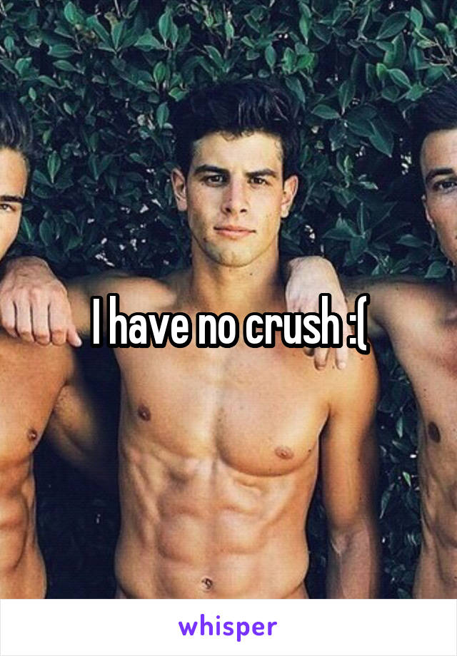 I have no crush :(