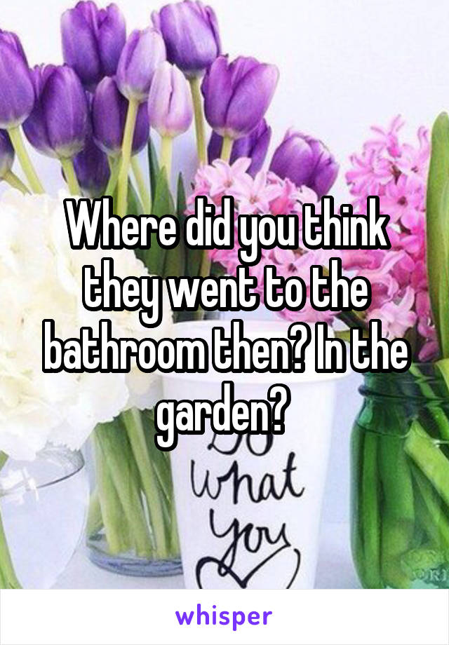 Where did you think they went to the bathroom then? In the garden? 