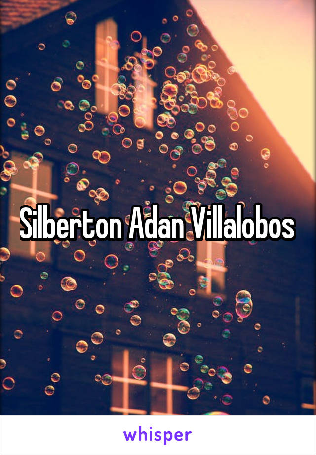 Silberton Adan Villalobos 