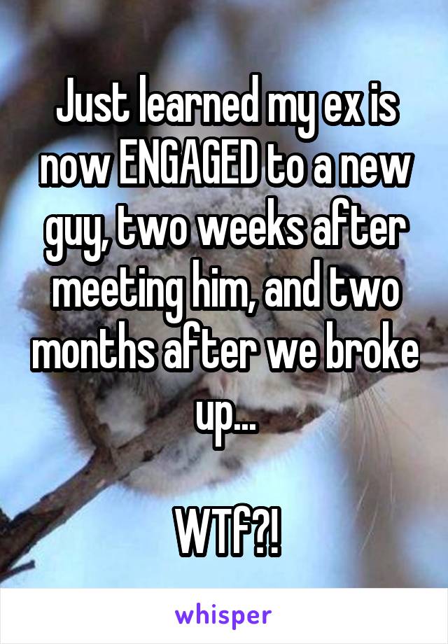 Just learned my ex is now ENGAGED to a new guy, two weeks after meeting him, and two months after we broke up...

WTf?!
