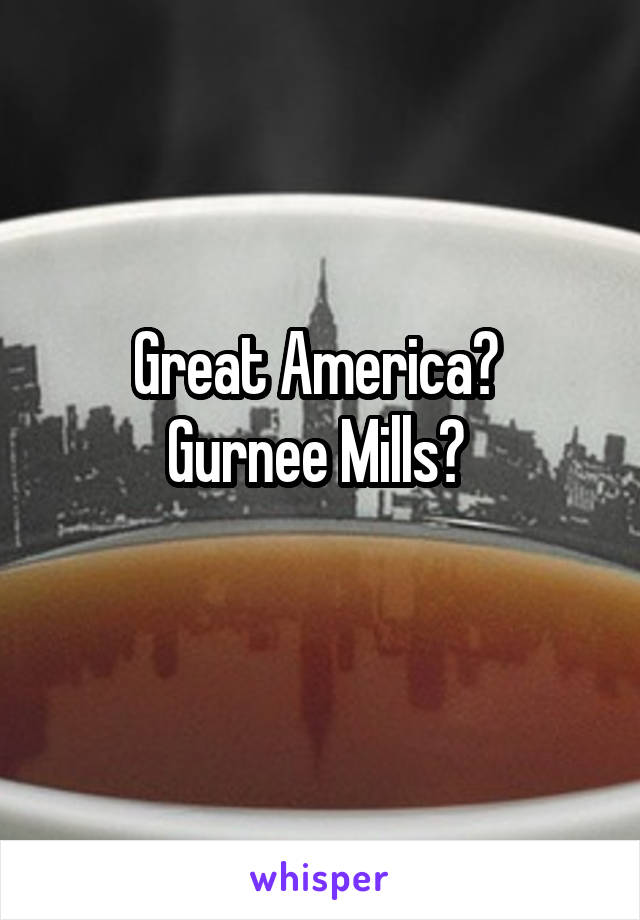 Great America? 
Gurnee Mills? 
