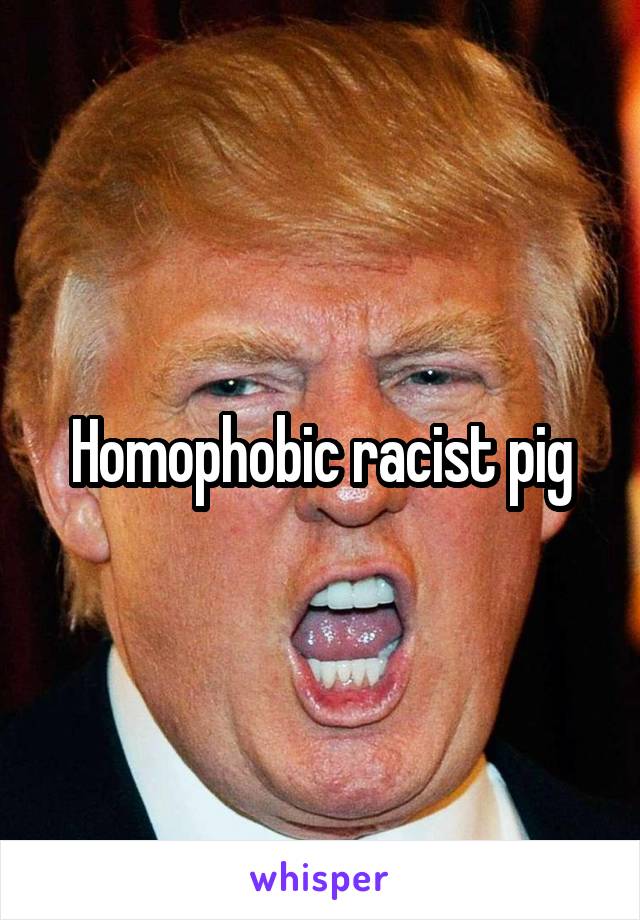 Homophobic racist pig