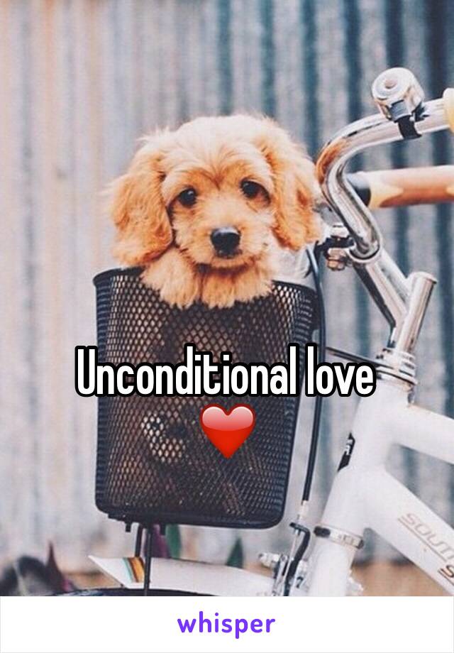 Unconditional love
❤️
