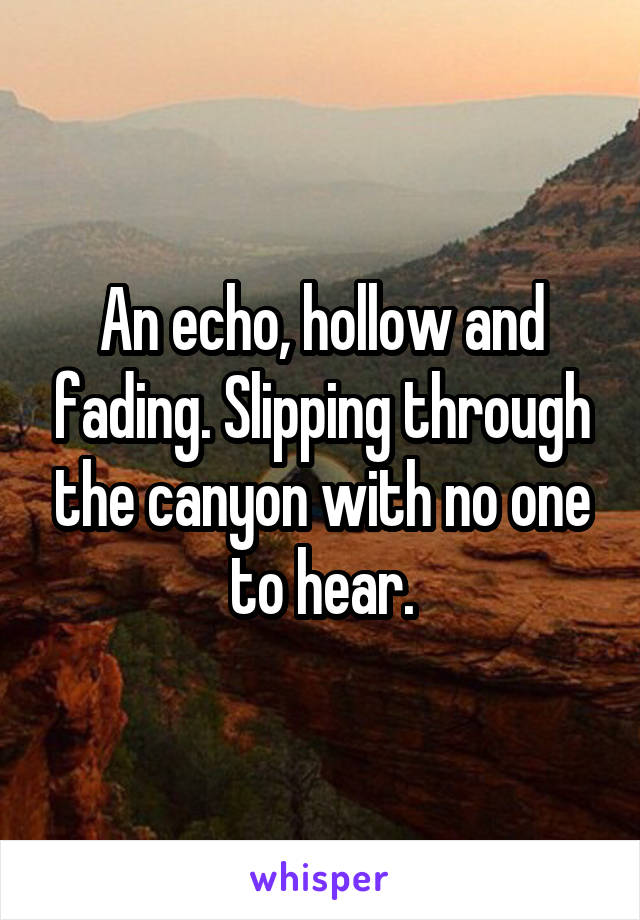 An echo, hollow and fading. Slipping through the canyon with no one to hear.