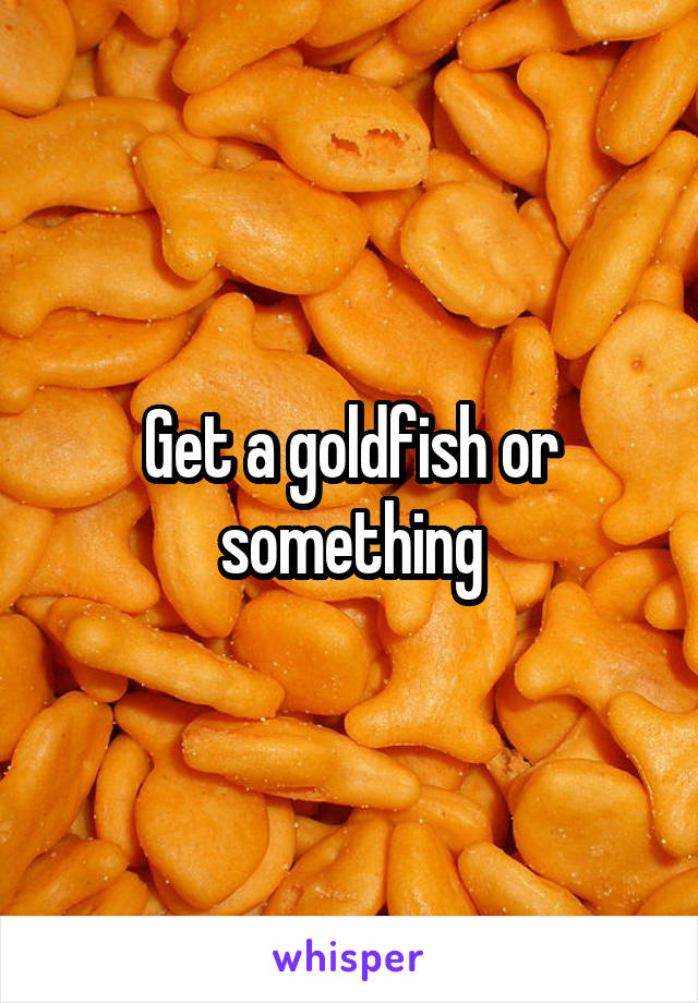 Get a goldfish or something