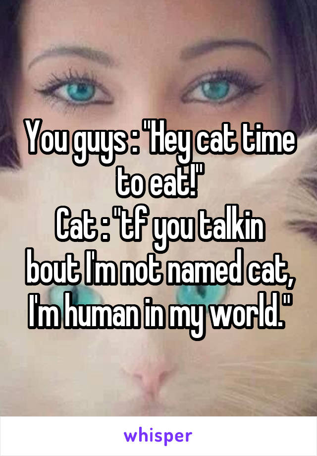 You guys : "Hey cat time to eat!"
Cat : "tf you talkin bout I'm not named cat, I'm human in my world."