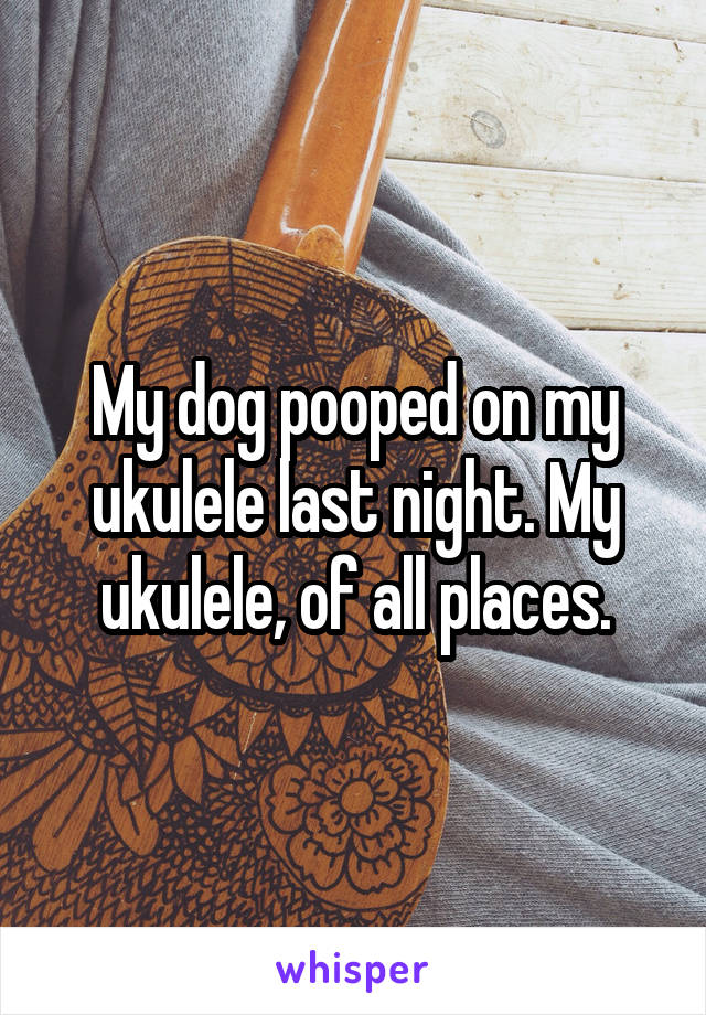 My dog pooped on my ukulele last night. My ukulele, of all places.