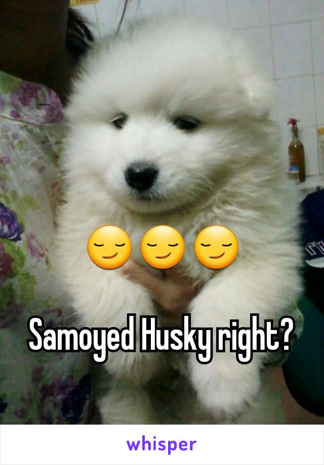 😏😏😏

Samoyed Husky right?
