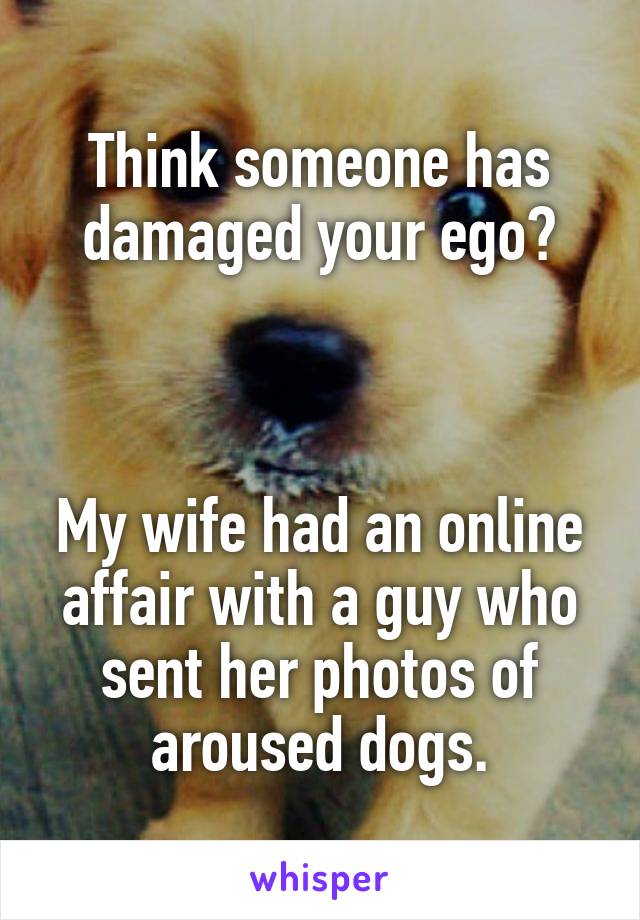 Think someone has damaged your ego?



My wife had an online affair with a guy who sent her photos of aroused dogs.