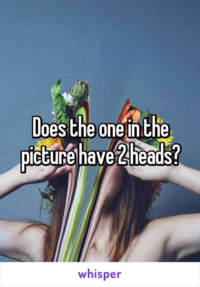 Does the one in the picture have 2 heads?