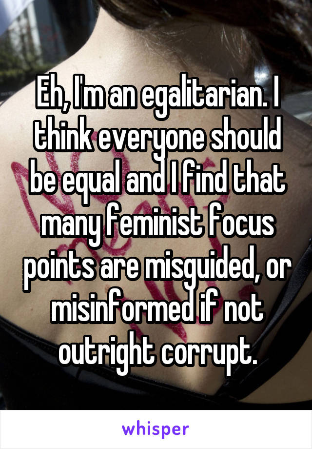 Eh, I'm an egalitarian. I think everyone should be equal and I find that many feminist focus points are misguided, or misinformed if not outright corrupt.