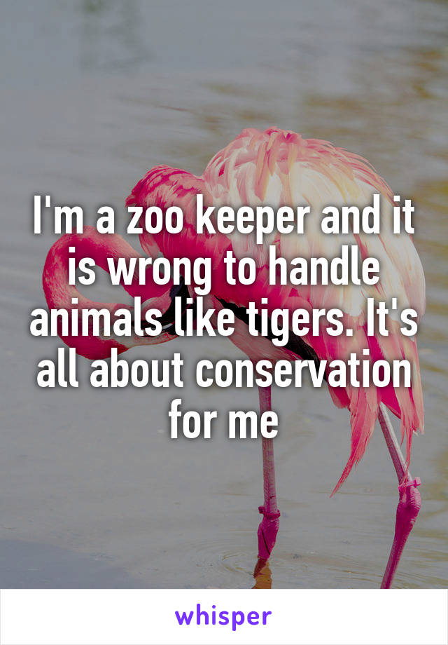 I'm a zoo keeper and it is wrong to handle animals like tigers. It's all about conservation for me