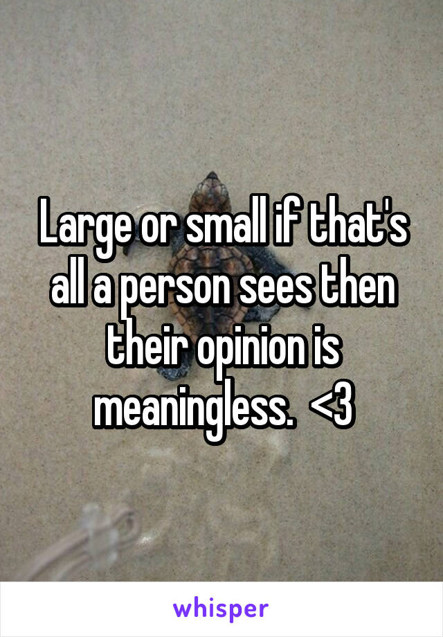 Large or small if that's all a person sees then their opinion is meaningless.  <3