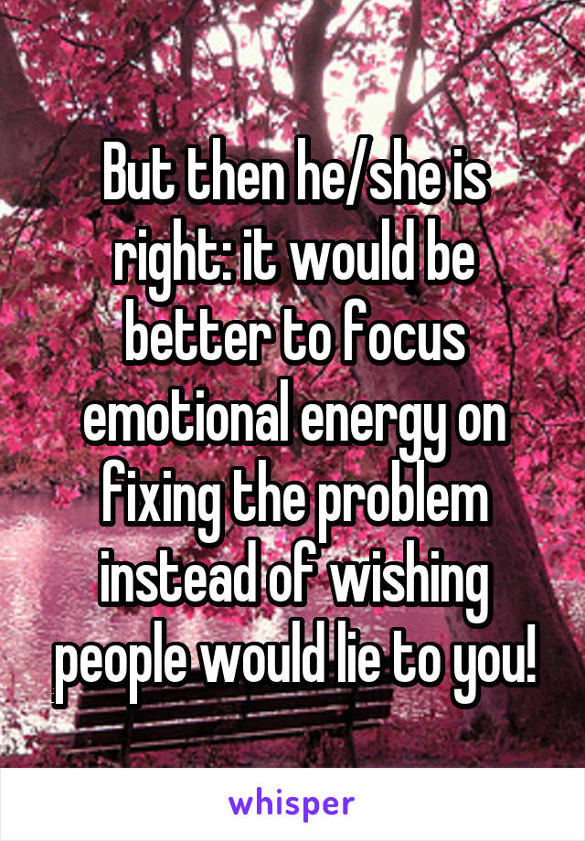 But then he/she is right: it would be better to focus emotional energy on fixing the problem instead of wishing people would lie to you!