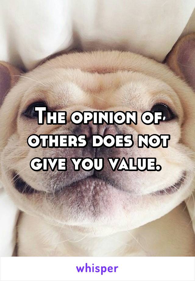 The opinion of others does not give you value. 