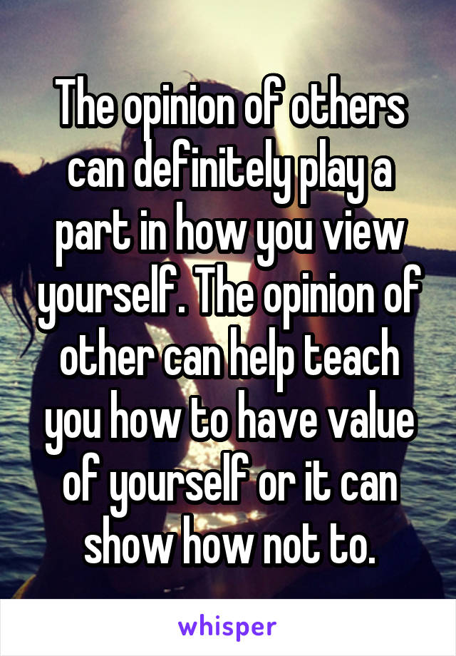 The opinion of others can definitely play a part in how you view yourself. The opinion of other can help teach you how to have value of yourself or it can show how not to.