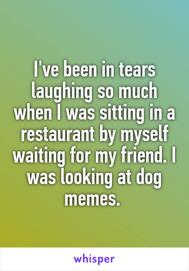 I've been in tears laughing so much when I was sitting in a restaurant by myself waiting for my friend. I was looking at dog memes. 